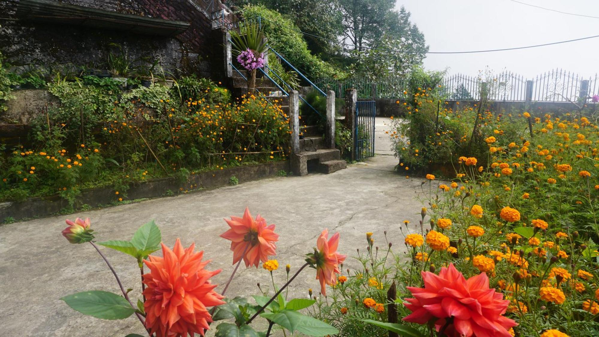 Tranquil Retreat Homestay Ghum Exterior foto